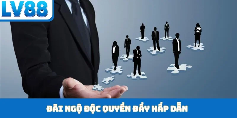 Đãi ngộ độc quyền đầy hấp dẫn