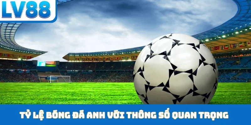 Tỷ lệ bóng đá Anh với thông số quan trọng